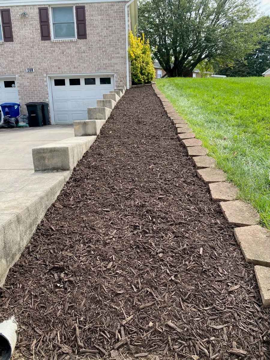 After: the same driveway bed cleared and covered with fresh brown mulch