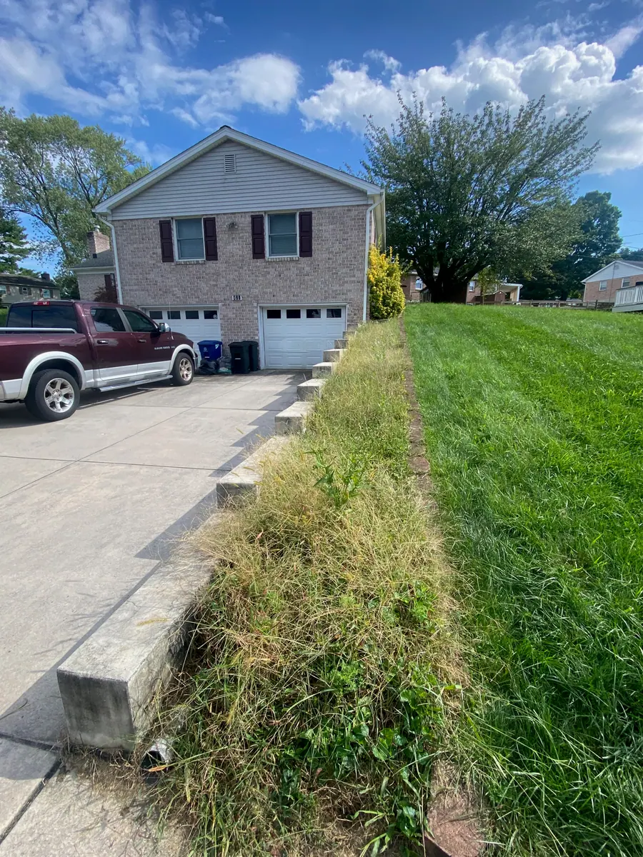 Before: tall weeds and grass fill the narrow planting bed beside the driveway