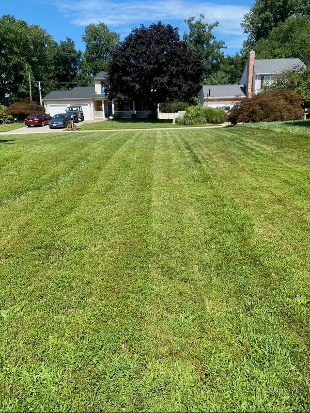 Even mowing stripes across a front lawn